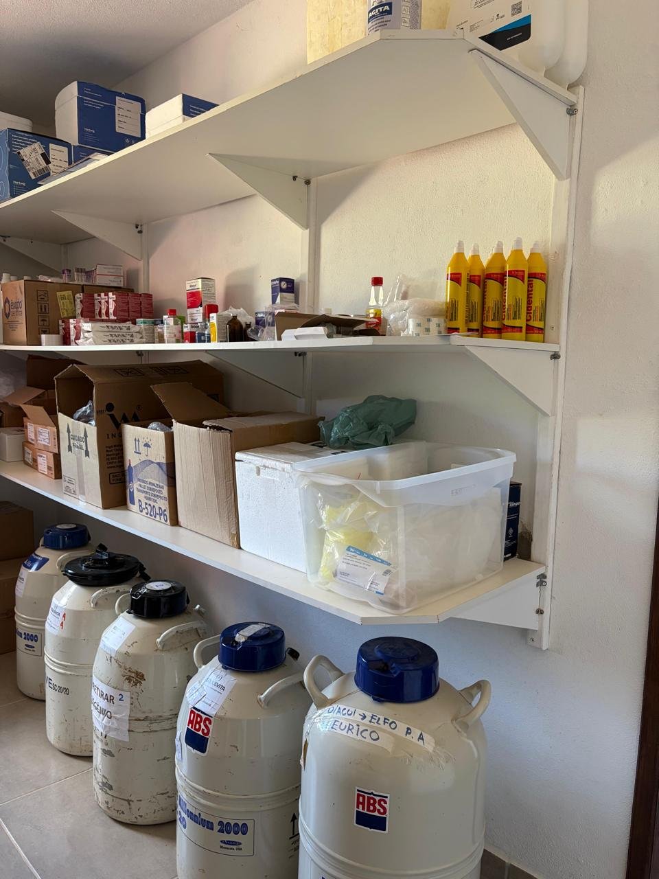 Farmácia e Sêmen Congelado - EquusVita